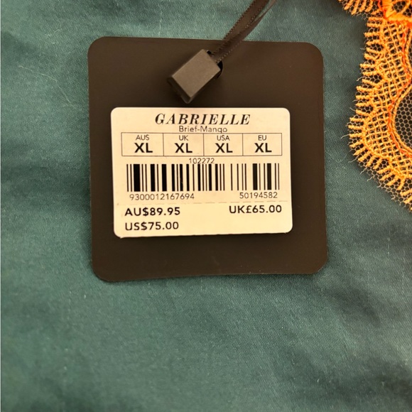 NWT Sold Out Honey Birdette brief - Picture 4 of 6